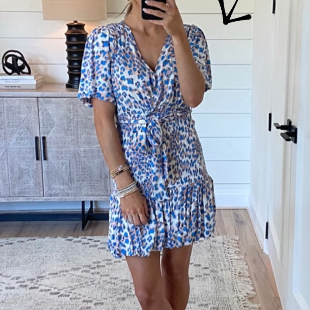 Talulah Blue Leopard Print Dress